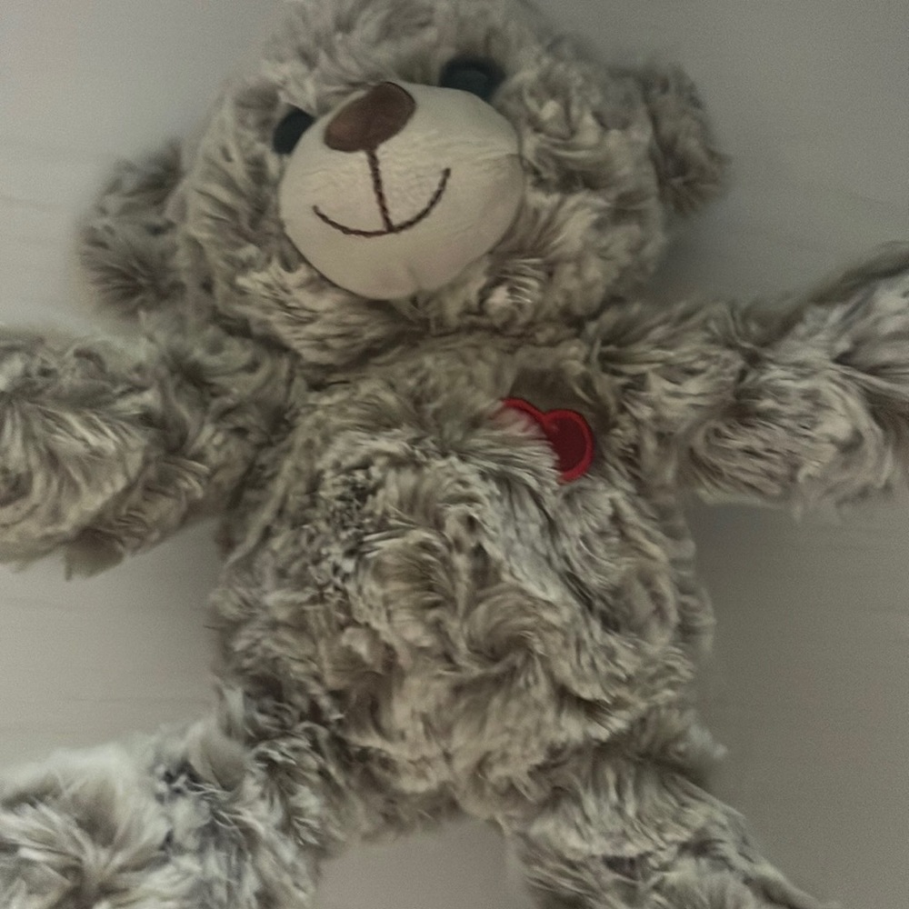 Small teddy bear